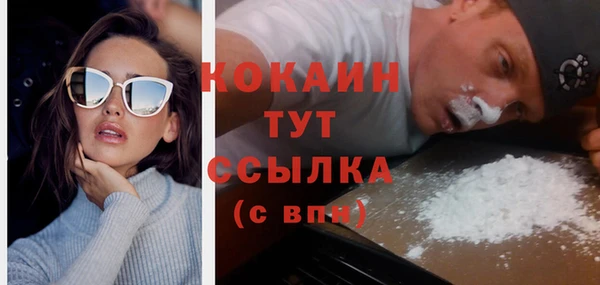 дмт Арсеньев