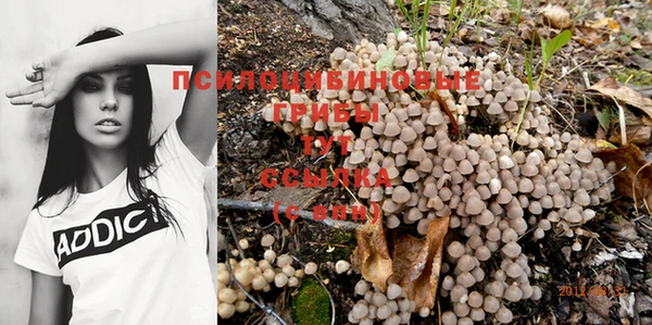бутик Аркадак