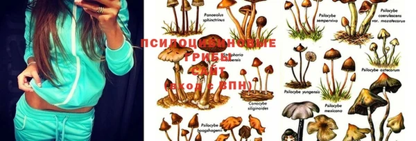 бутик Аркадак