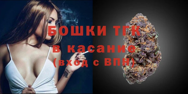 дмт Арсеньев