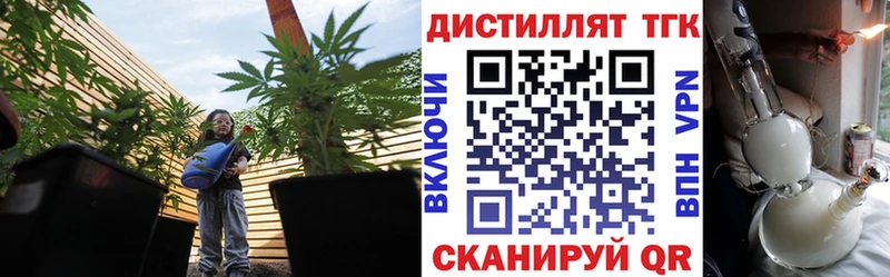 ТГК гашишное масло  Мураши 