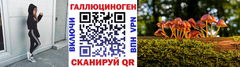 где купить   Мураши  blacksprut онион  Псилоцибиновые грибы прущие грибы 